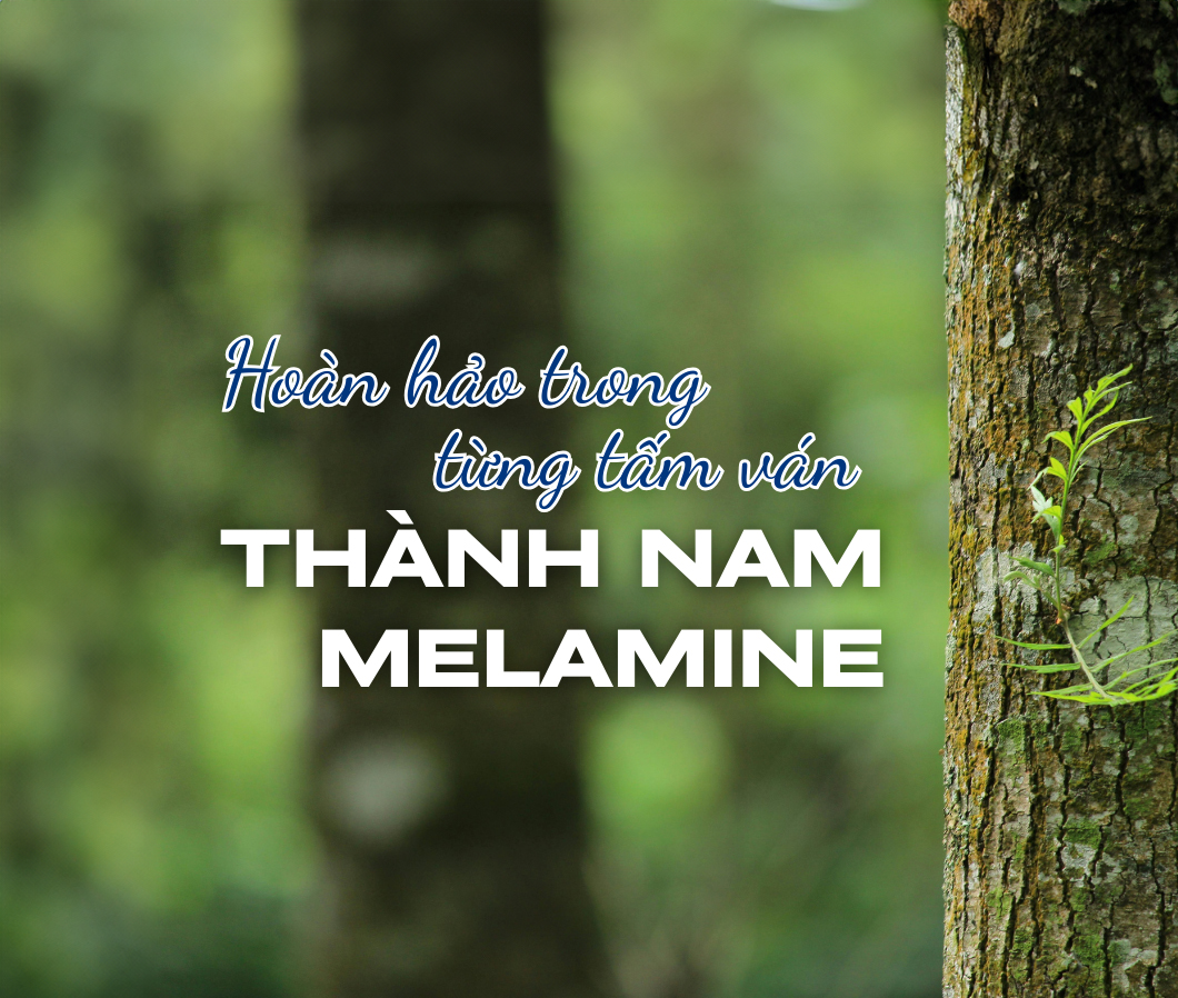 Thành Nam Melamine