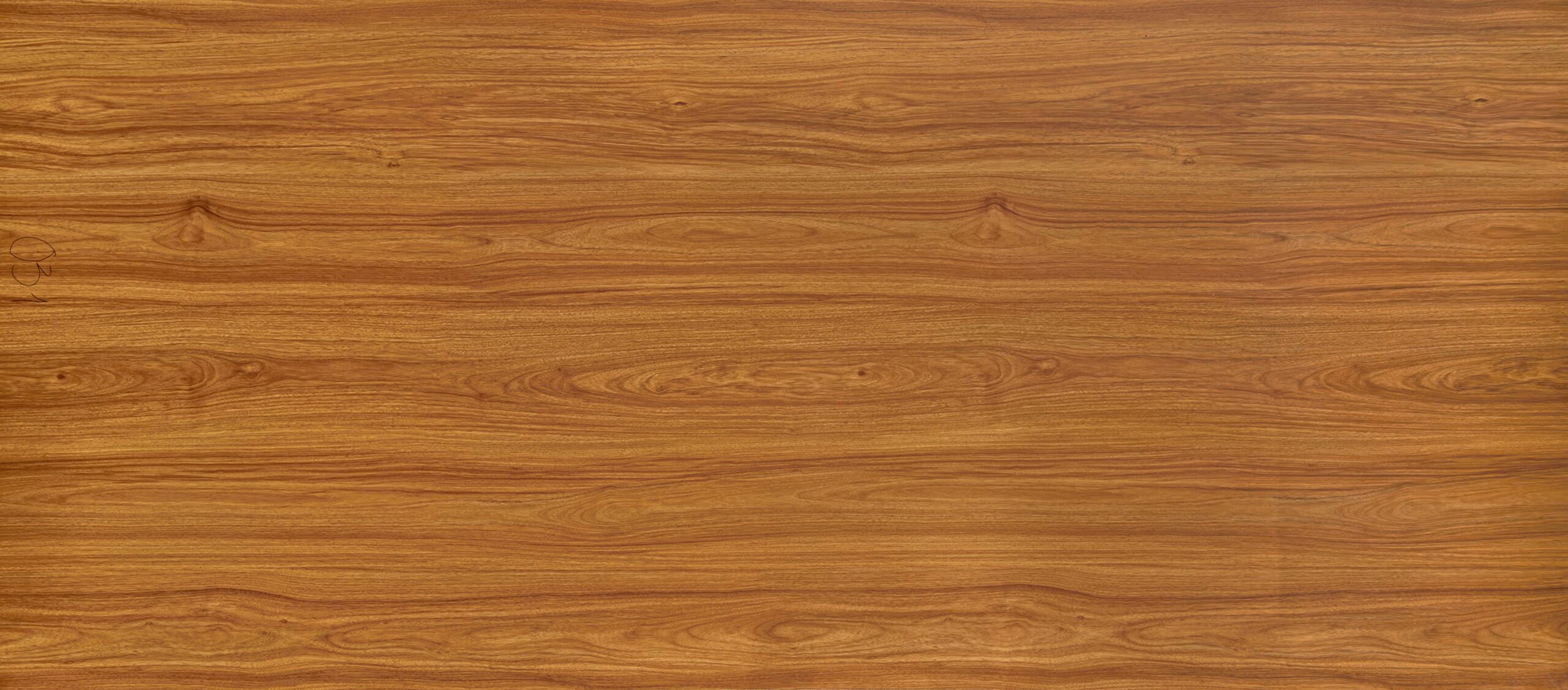 PLW-031